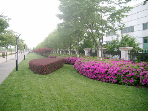 沙田粵港花園